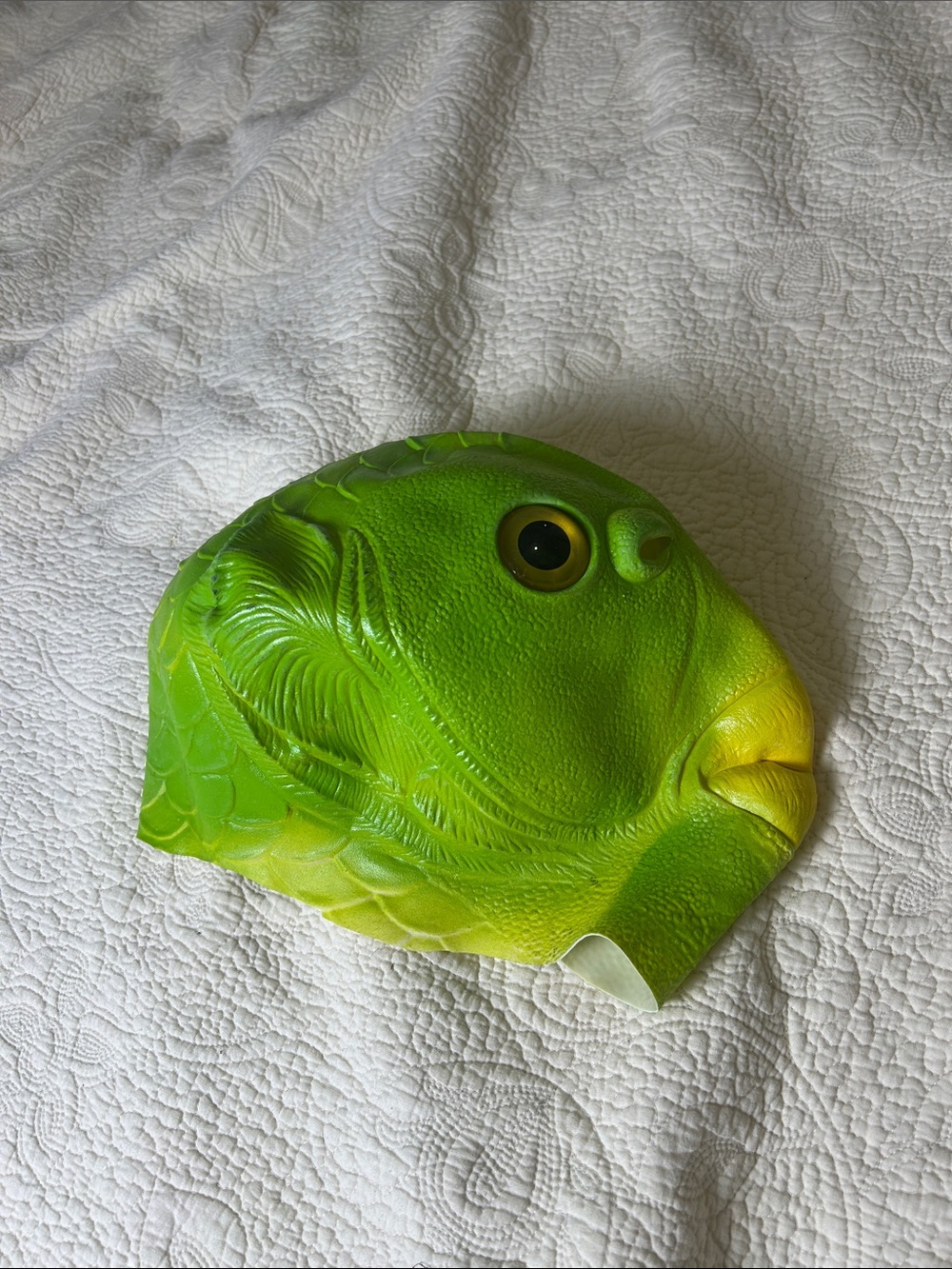 Green & Yellow Fish Face Mask for Men - Lightweight Reusable Mask